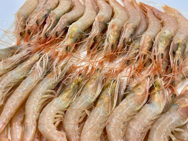 DOCENA GAMBA BLANCA  DE SANTA POLA