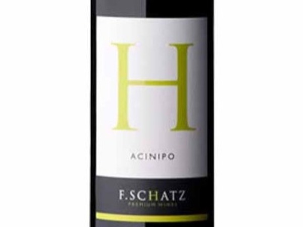 F SCHATZ ACINIPO 2019