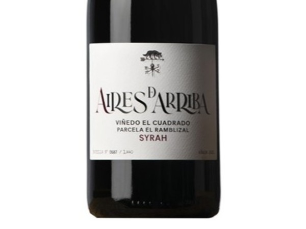 AIRES DE ARRIBA SYRAH 2021