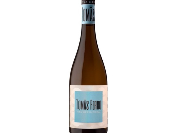 TOMAS FERRO BLANCO 2023