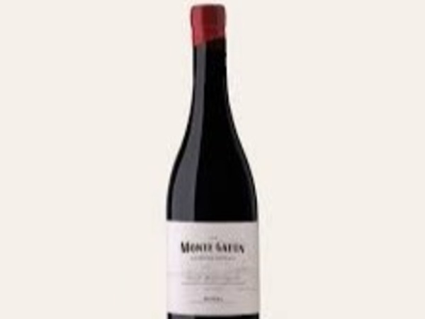 MONTE GATÚN 2022
