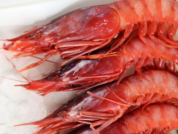 6 GAMBAS ALISTADAS A LA PLANCHA