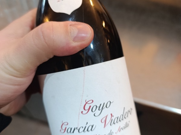GOYO GARCIA VIADERO