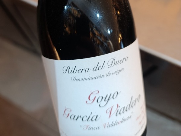 GOYO GARCÍA VIADERO 