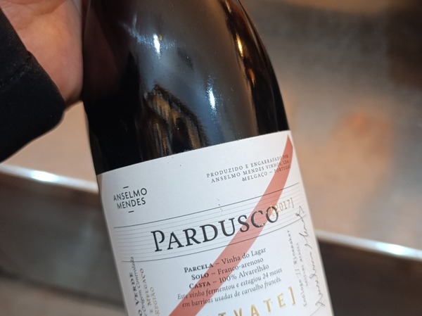 PARDUSCO DE ANSELMO MENDES 2017