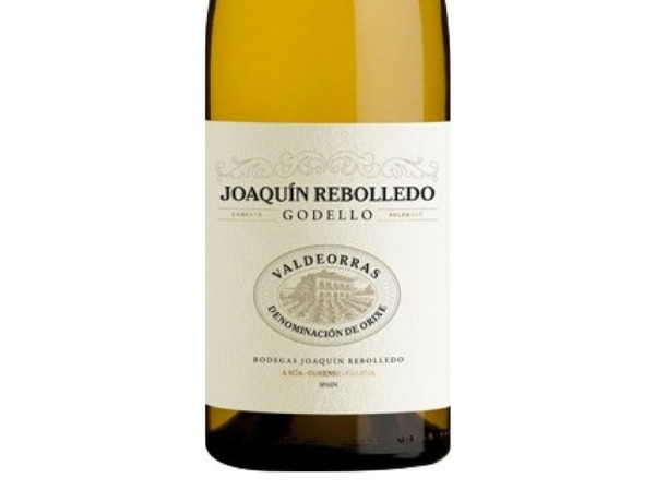 JOAQUÍN REBOLLEDO GODELLO 2025
