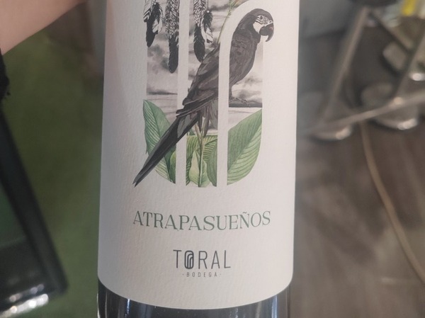 Atrapasueños 23