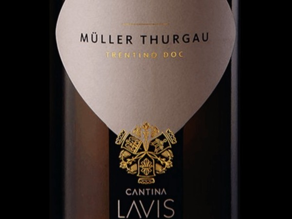 MüLLER THURGAU BODEGA LAVIS TRENTINO