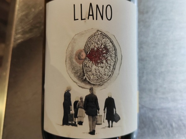 Llano 23 