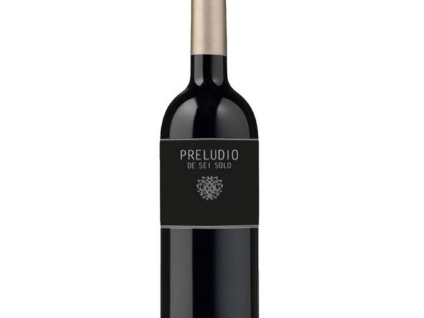 PRELUDIO DE SEI SOLO 2019