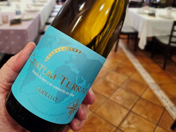CENTUM TERRAE GODELLO 2023