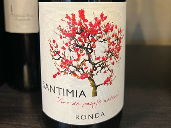 Santinia