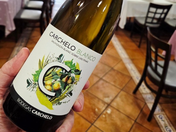 CARCHELO BLANCO 2024