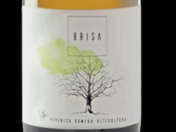 Brisa 2024
