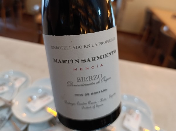 MARTIN SARMIENTO
