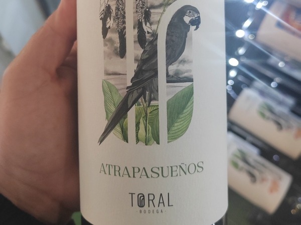 Atrapasueños 23