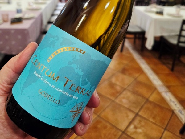 CENTUM TERRAE GODELLO 2023