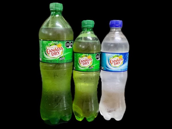 Refresco Canadá Dry 