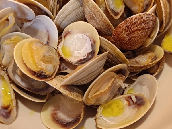 ALMEJA CHIRLA  ITALIANA XXL