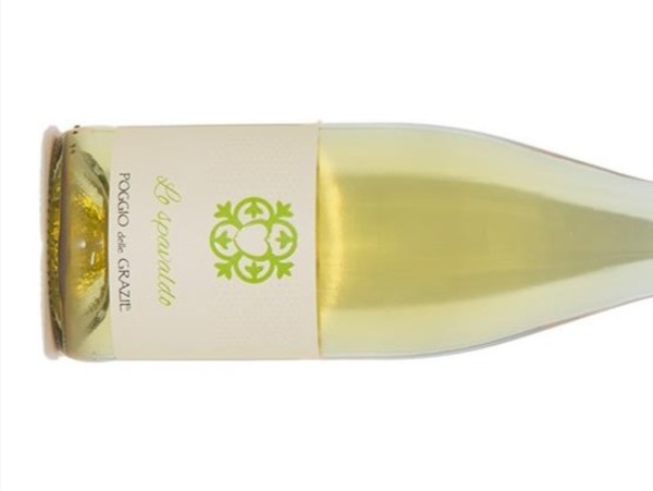 FRIZZANTE LO SPAVALDO RIFERMENTATO - CANTINE POGGIO DELLE GRAZIE