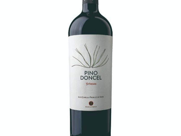 PINO DONCEL 12 MESES 2022