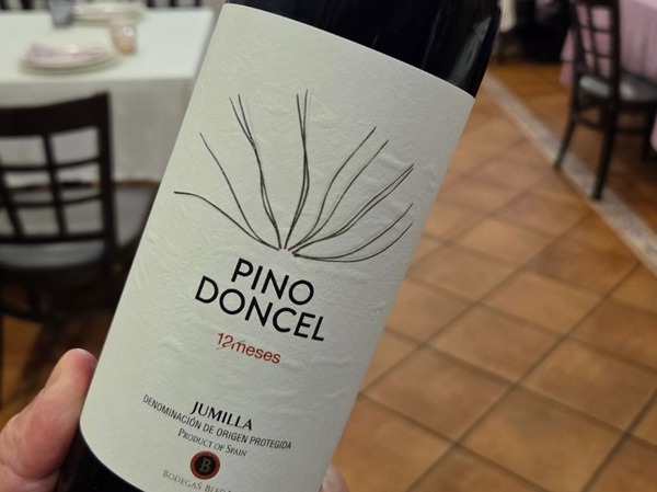 PINO DONCEL 12 MESES 2022
