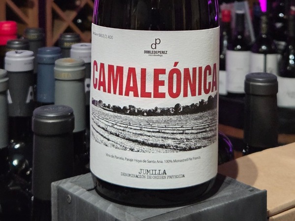 CAMALEONICA 2022
