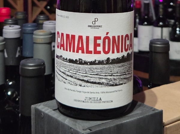 CAMALEÓNICA 2022
