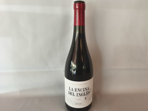 Encina del inglés tinto.