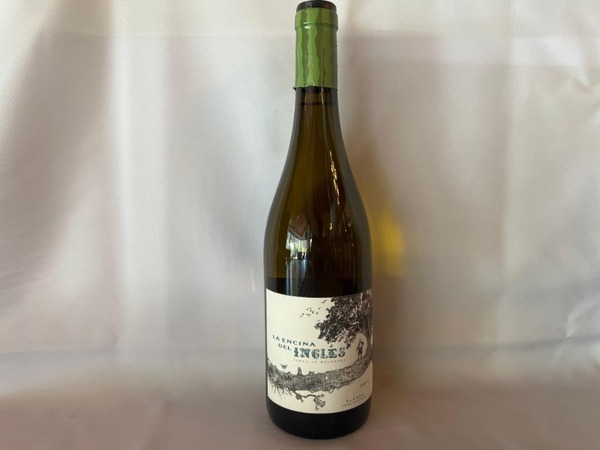 Encina del inglés blanco