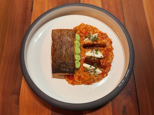 SALMÓN 