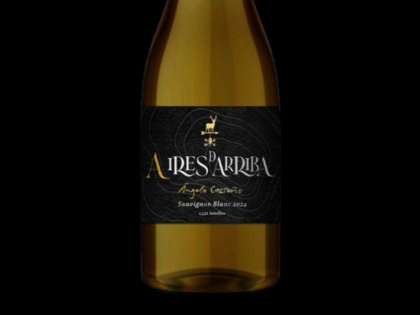 AIRES DE ARRIBA Sauvignon Blanc 2024