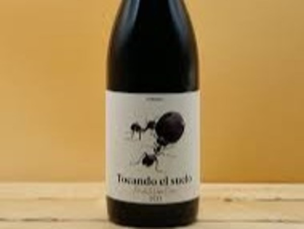 TOCANDO EL SUELO 2021