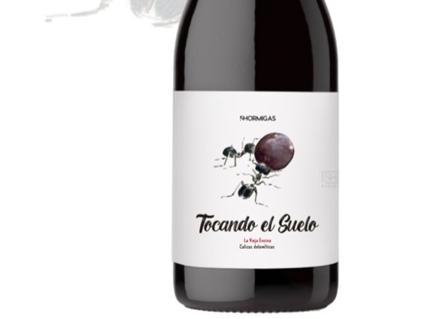 TOCANDO EL SUELO 2023