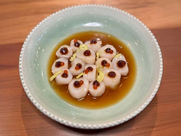 OSTIONES MAGALLÁNICOS 