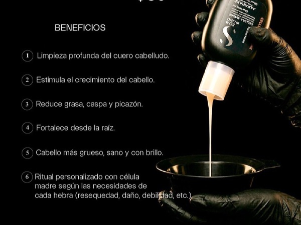 HEAD SPA + CELULA MADRE CAPILAR + SELLADO