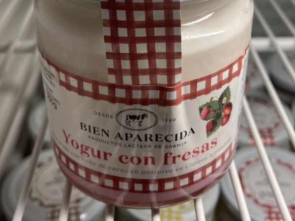 IOGURT AMB MADUIXES 250g