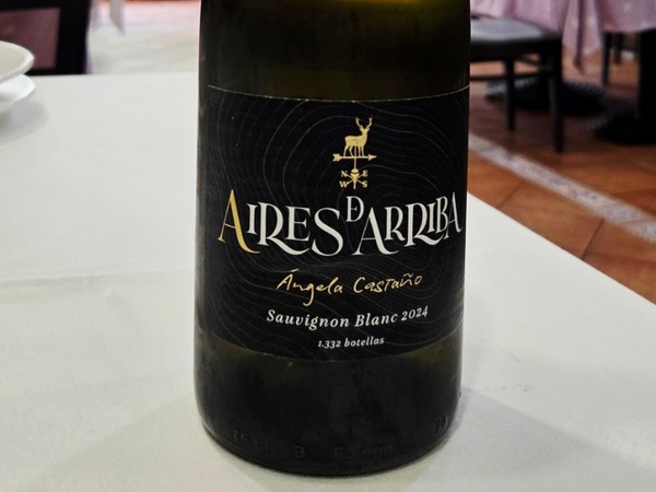 AIRES DE ARRIBA Sauvignon Blanc 2024