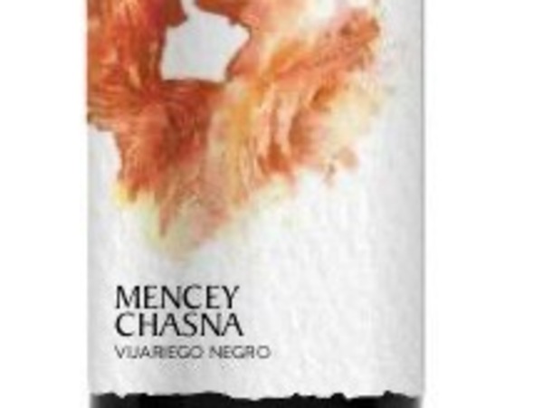 Mencey Chasna Tinto