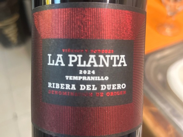 LA PLANTA