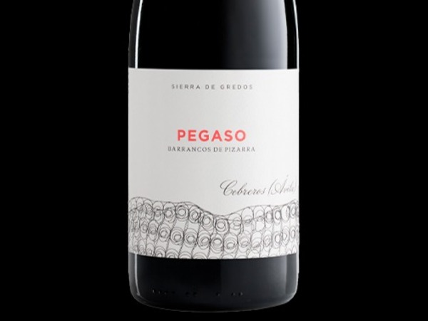 PEGASO BARRANCOS DE PIZARRA 2022