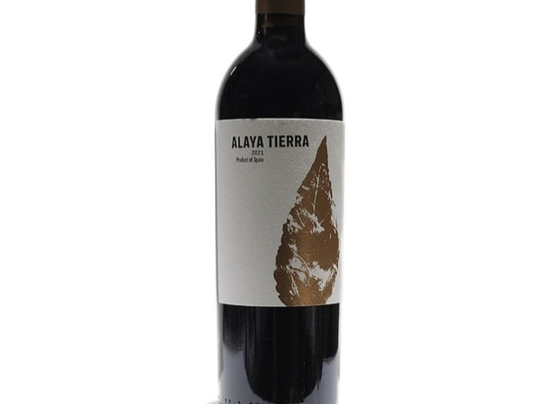 ALAYA TIERRA 2020