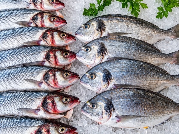 Pescado Fresco de Piscifactoría